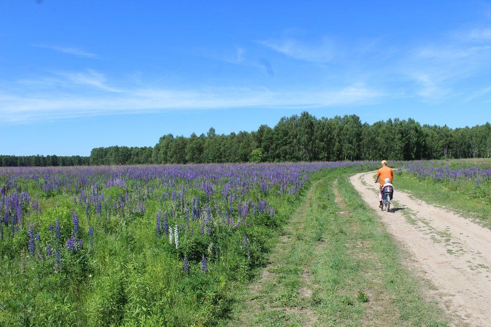 Велопрогулка