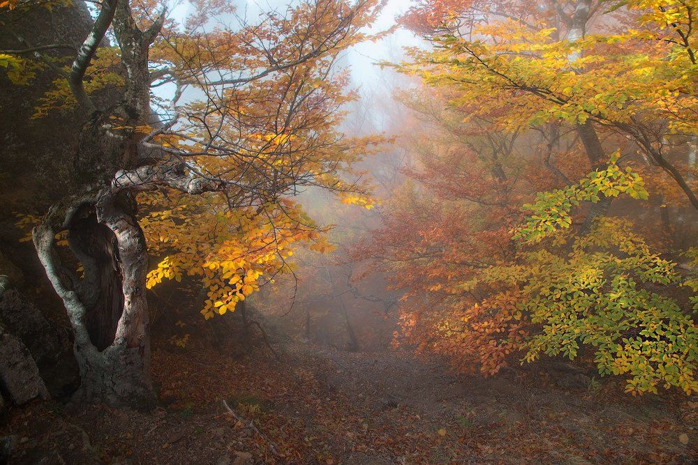В долине приведений