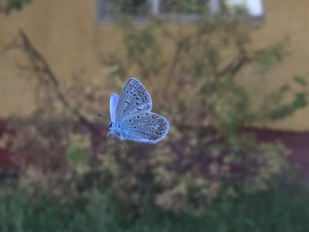 Photograph by Меруерт