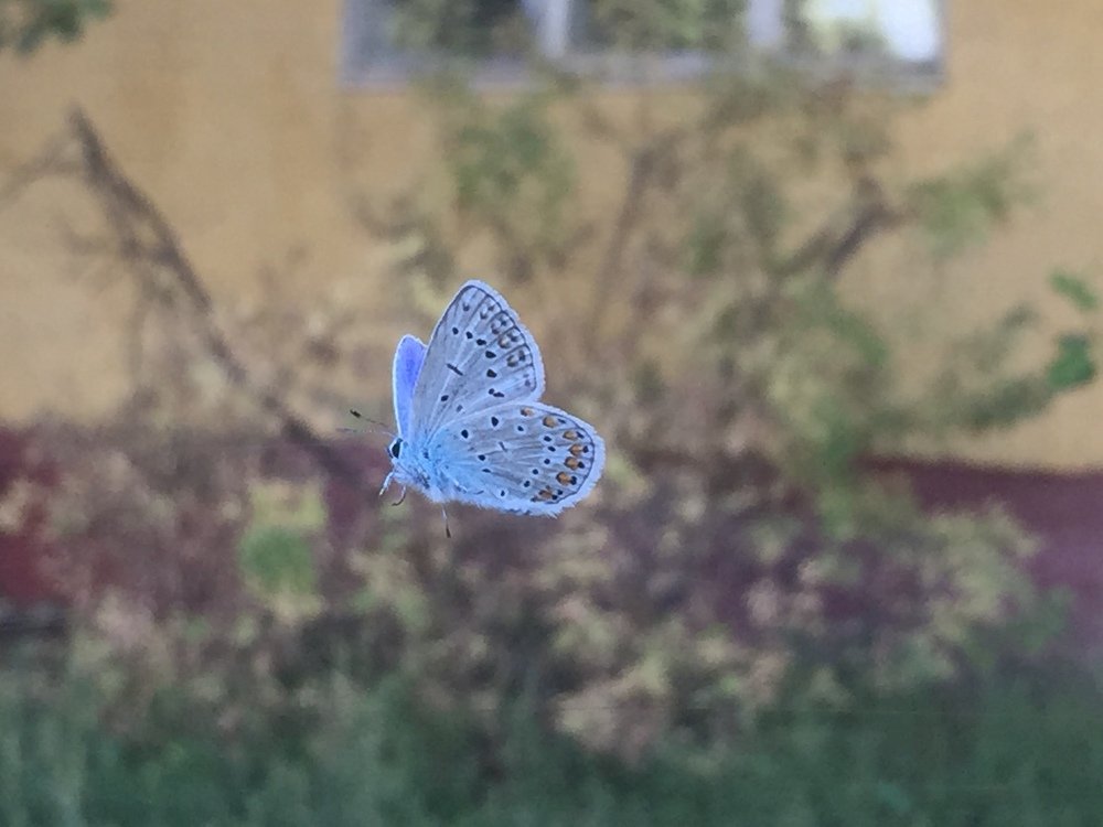 Photograph by Меруерт