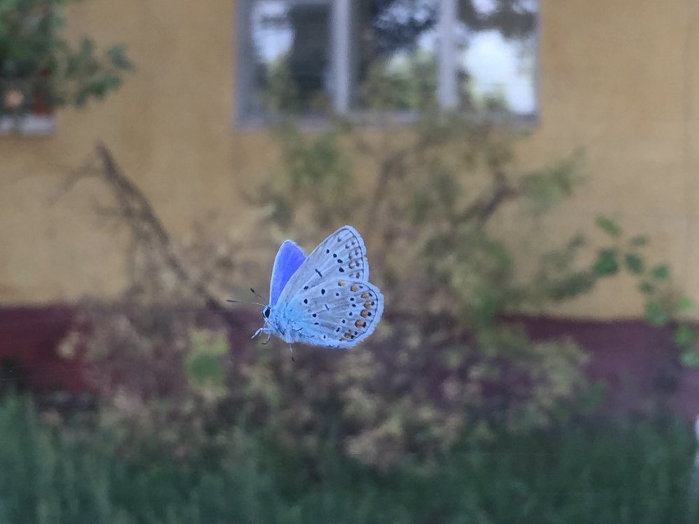 Photograph by Меруерт