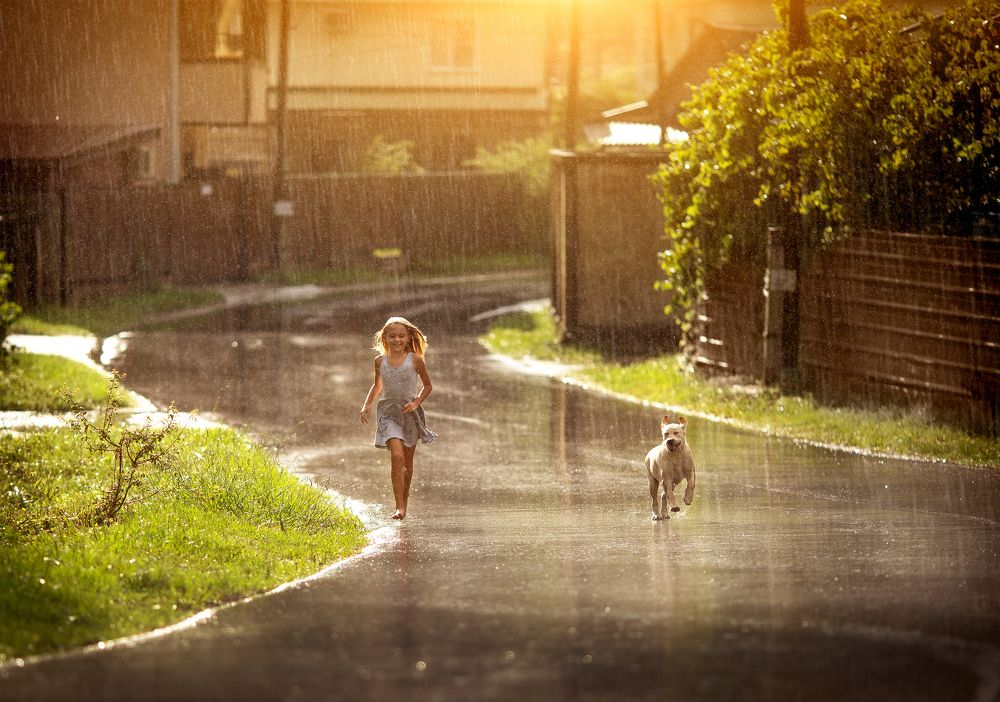 Летний дождь