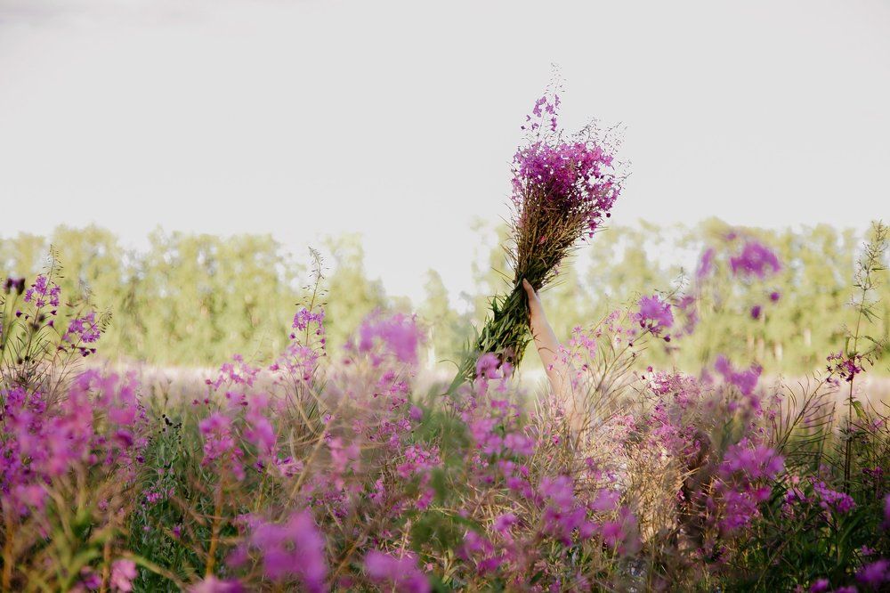 Летняя пора