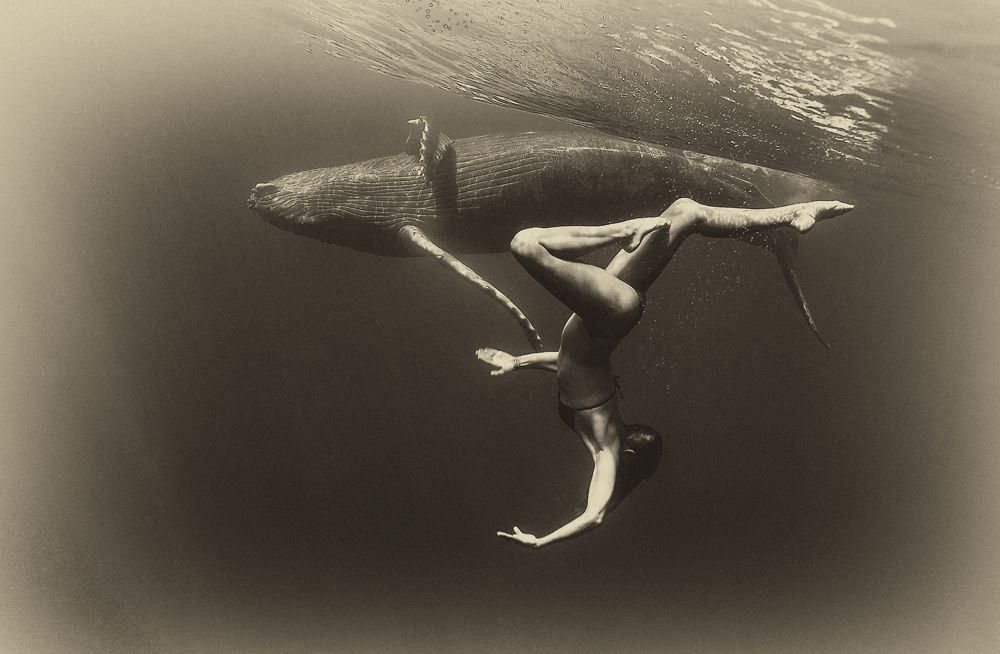 Christine et le baleineau