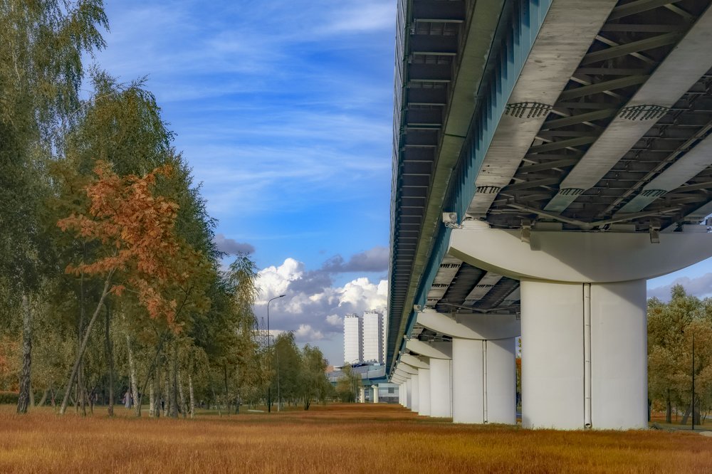 Photograph by 