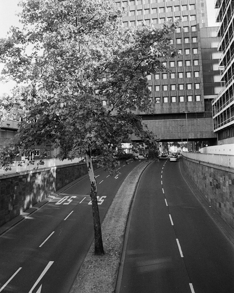 Живой город