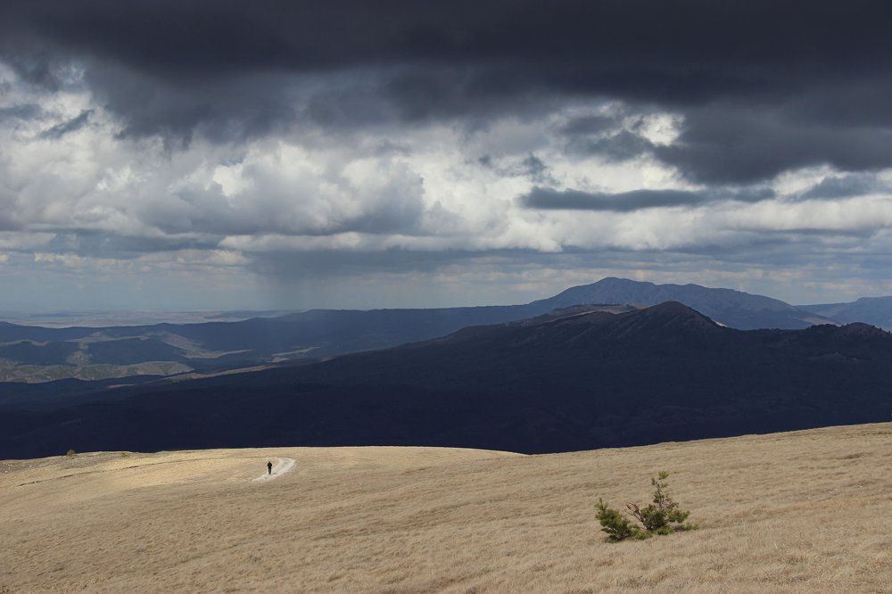 День солнца и дождя