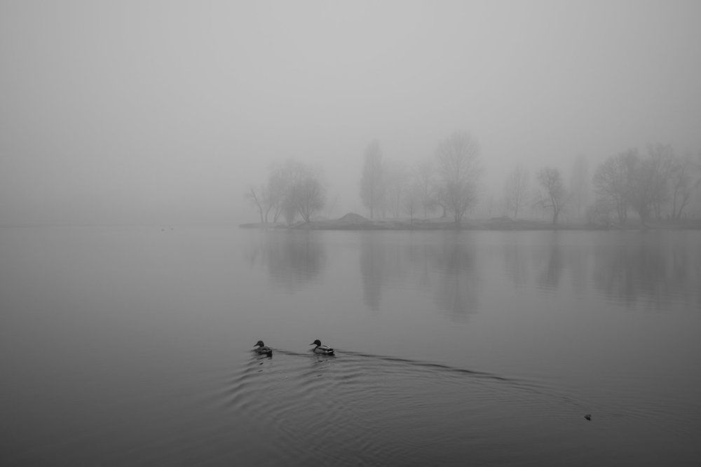fog