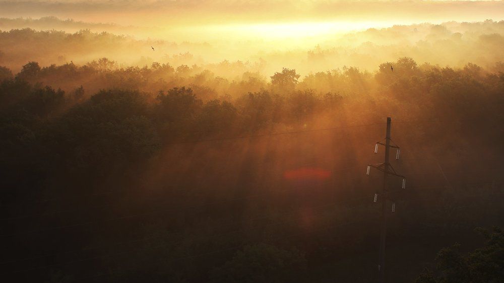 Вид из окна