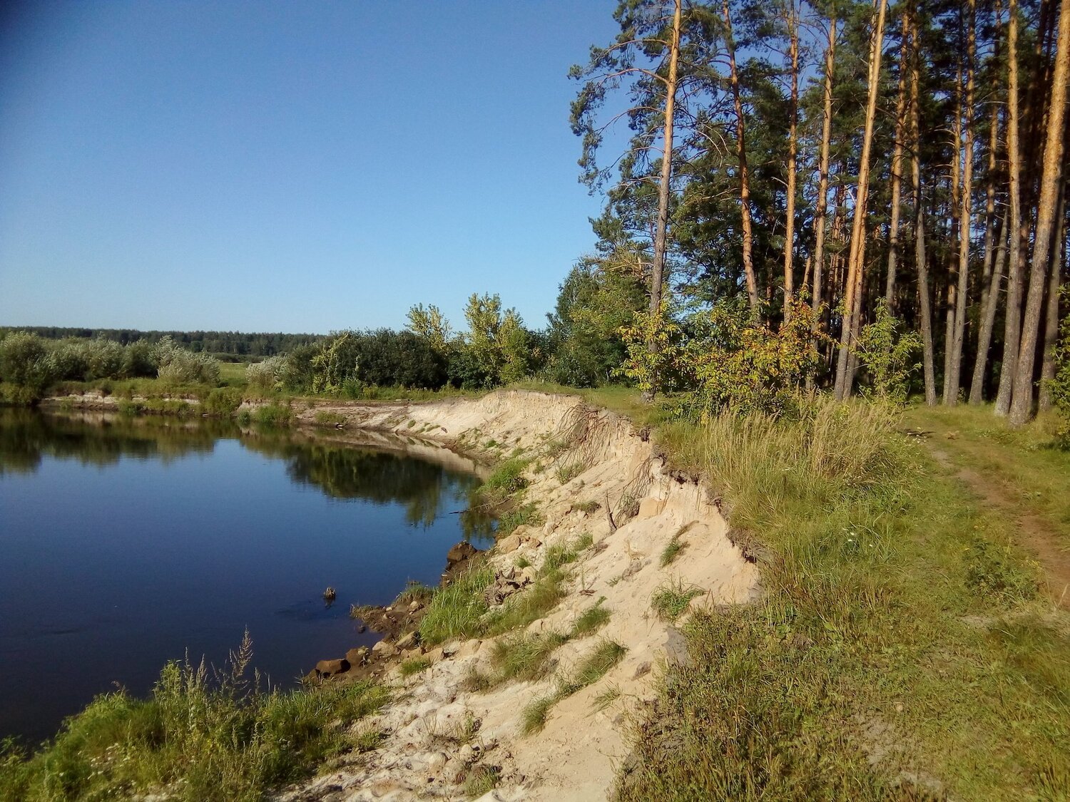 Болва