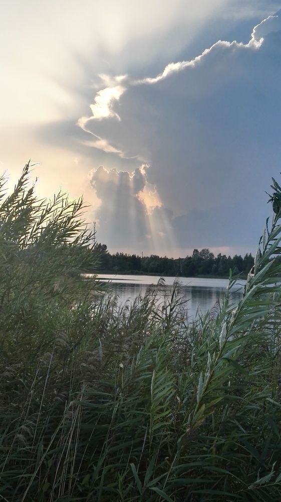 Под тихий гром