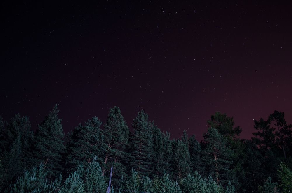 Воскресный звездопад