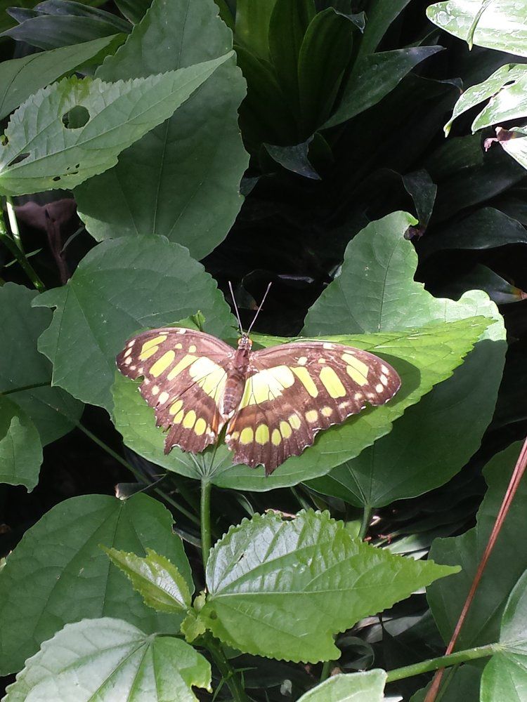 Photograph by Марина