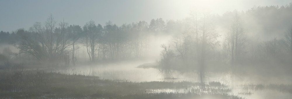 Одним майским утром