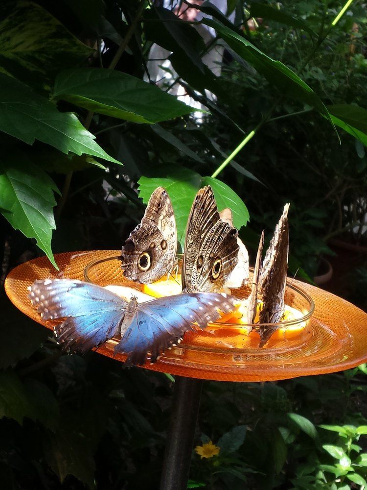 Photograph by Марина