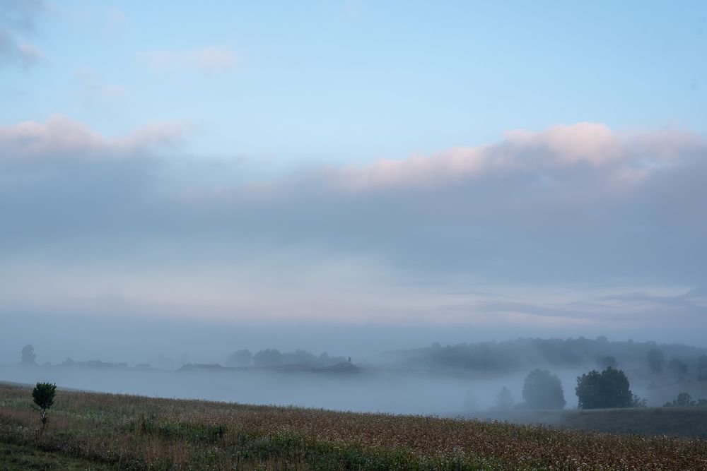 Photograph by Михаил Рогачев