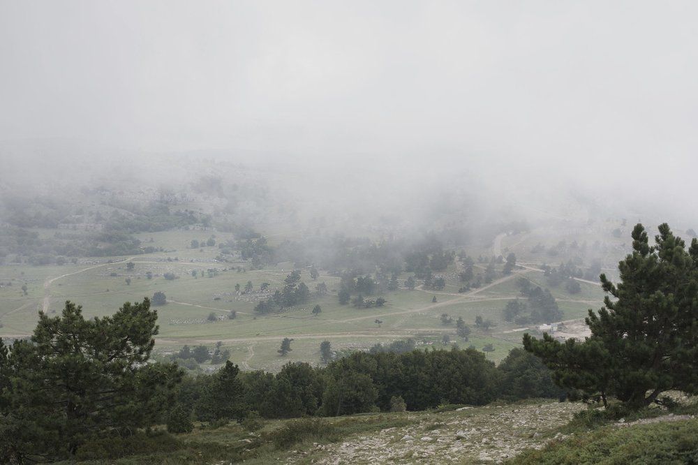 Photograph by яна