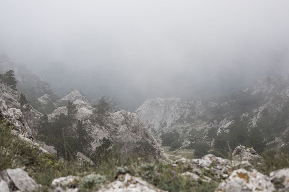 Photograph by яна