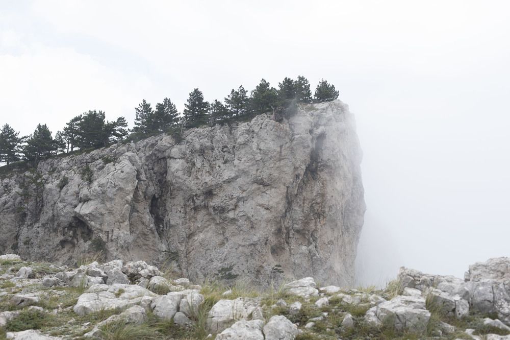 Photograph by яна