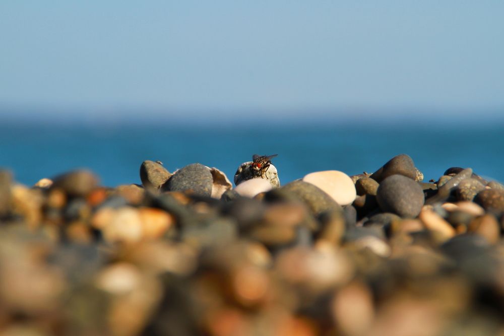 солнечные ванны