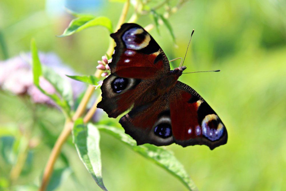 Photograph by Hellen