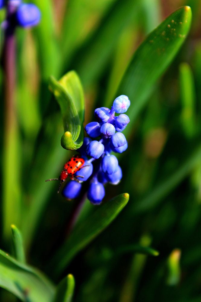 Photograph by Hellen