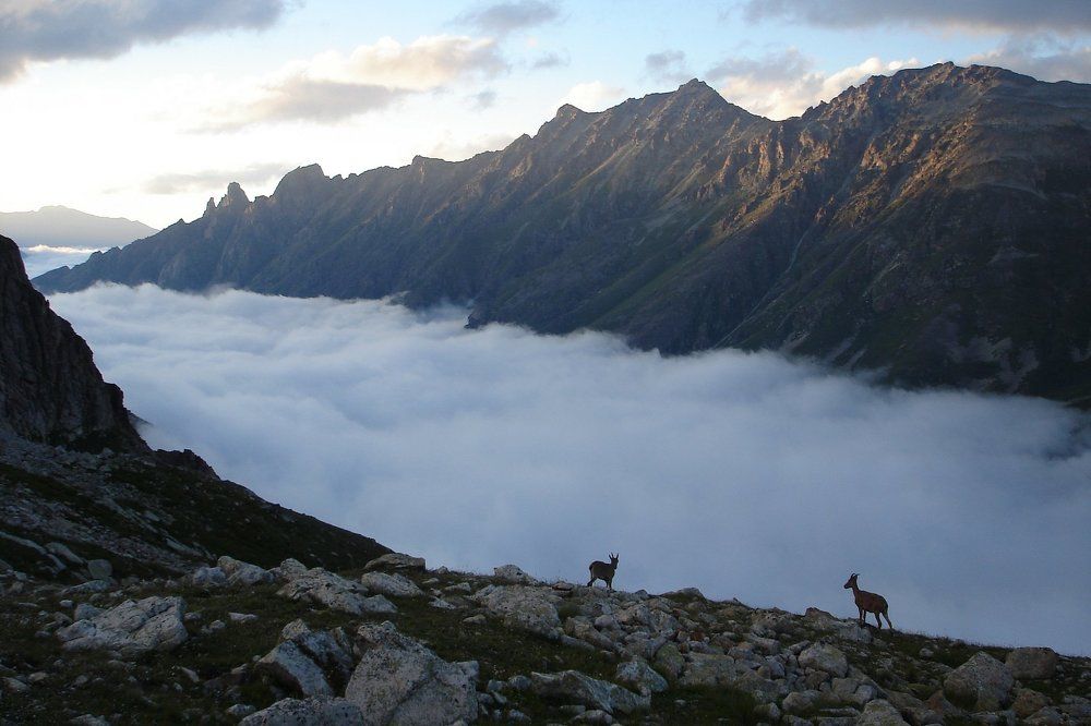 Над Улу-Муруджу