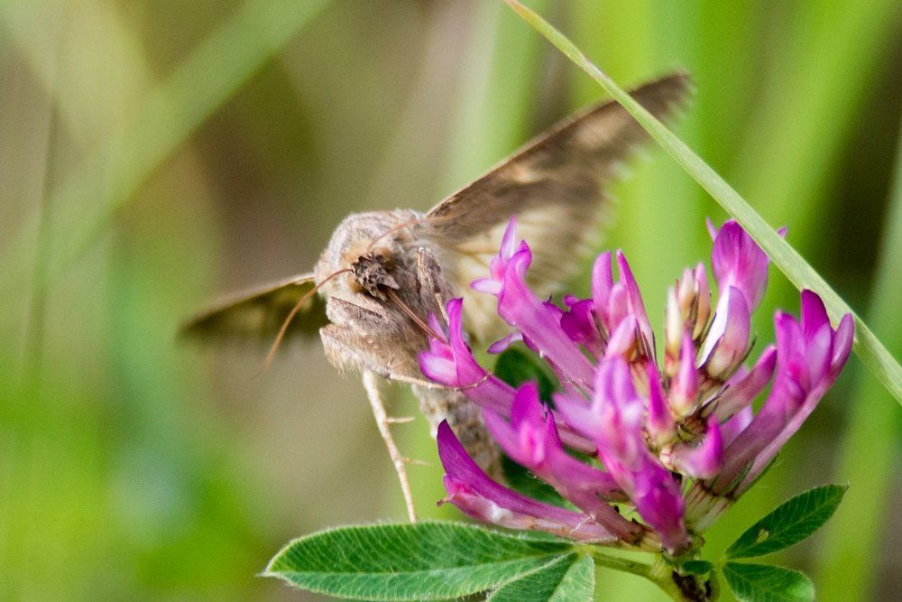 Photograph by Vitalijs Mironovs