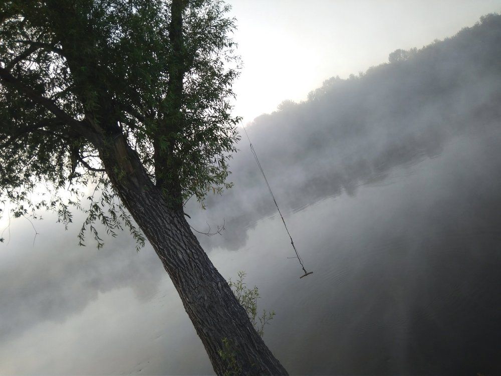Photograph by Віка