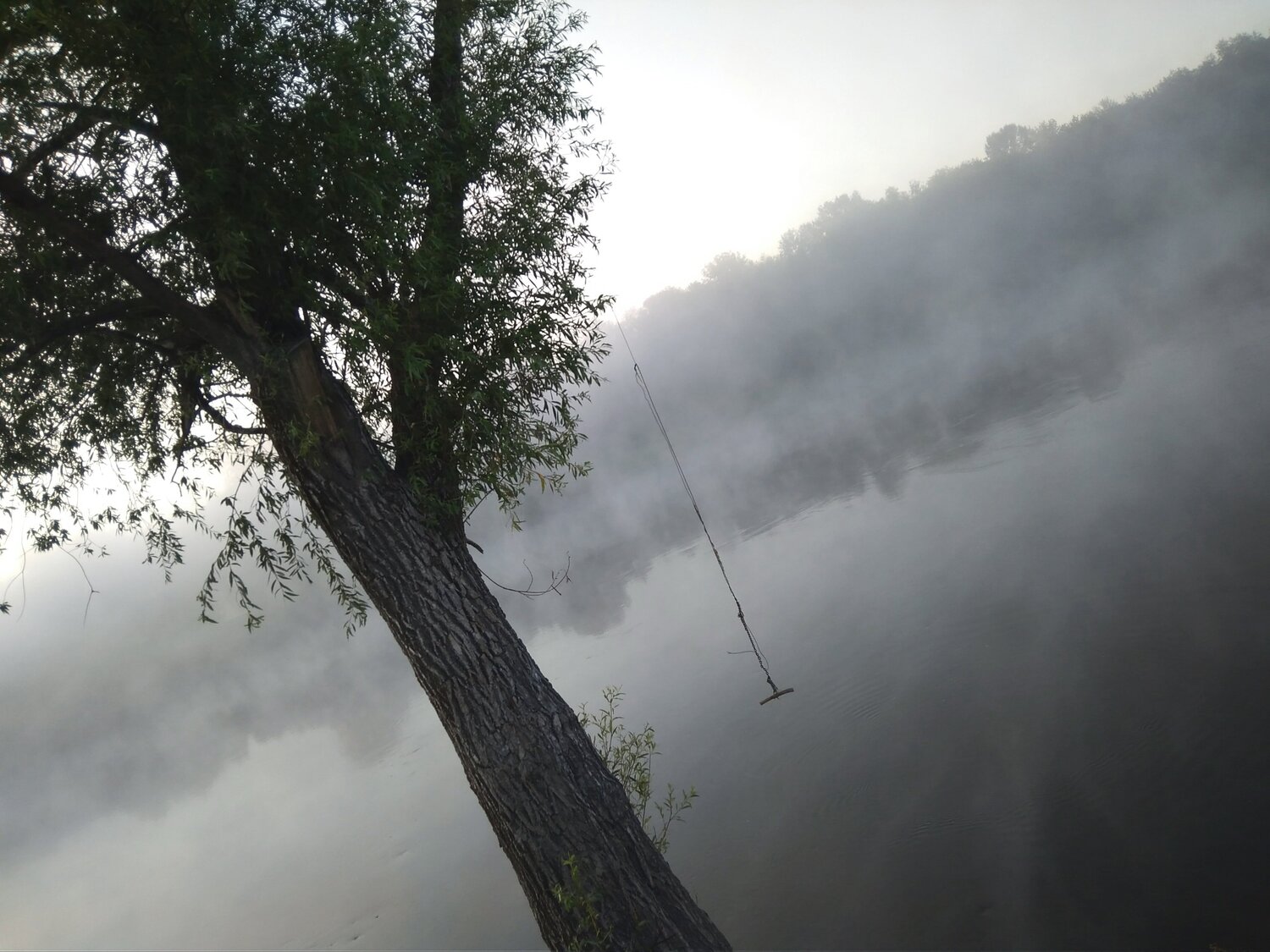 Photo #2472614