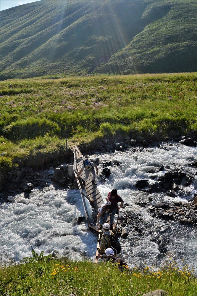 тернистый путь