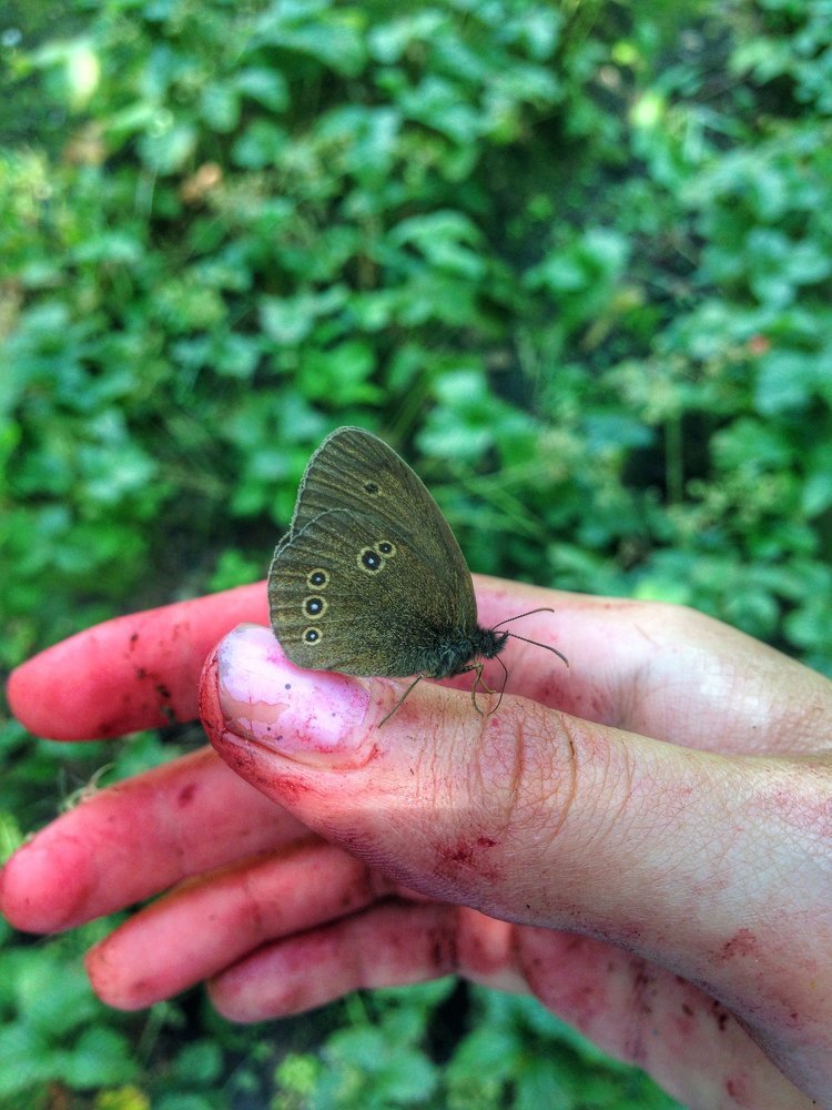 Photograph by Анастасия Козлова