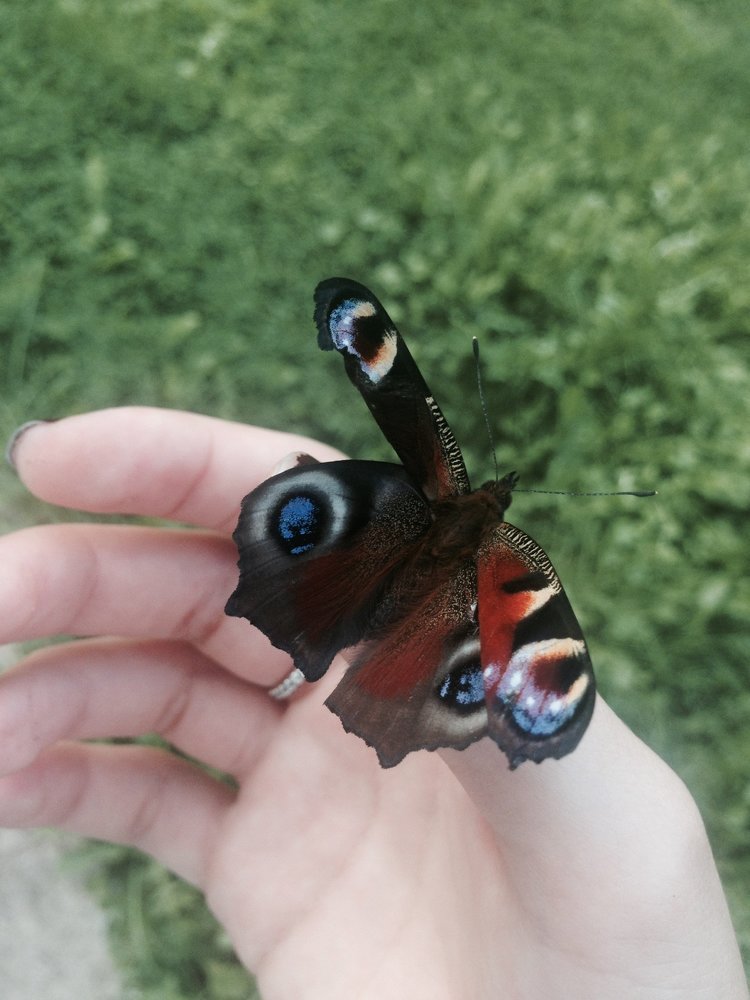 Photograph by Анастасия Козлова