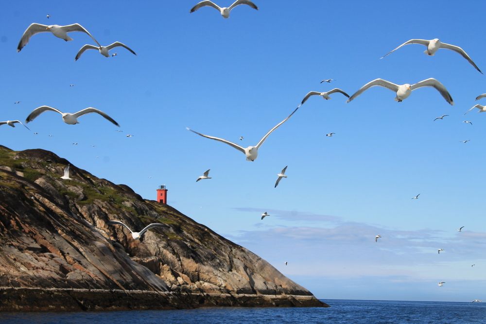 На краю света