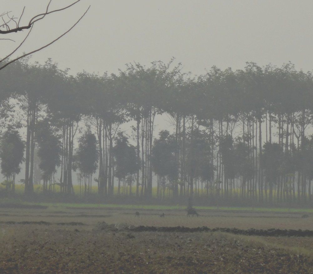 Photograph by Arpita Malakar