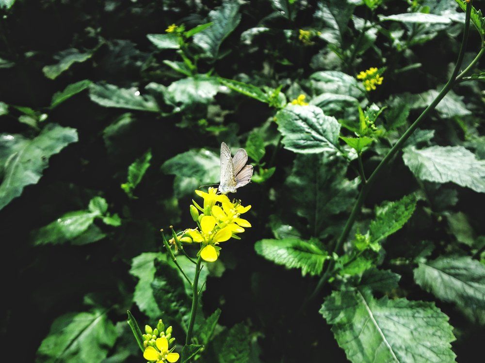 Photograph by Arpita Malakar