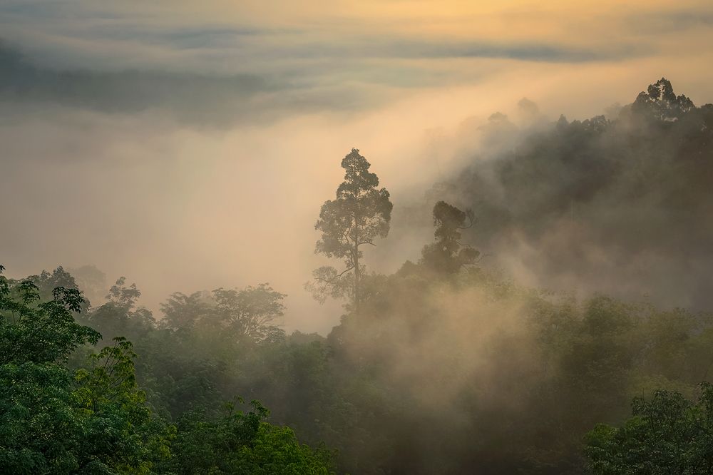 Sea of mist at Khao Khai Nui, Phang Nga Province, Thailand.