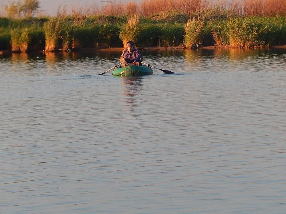 Photograph by Татьяна