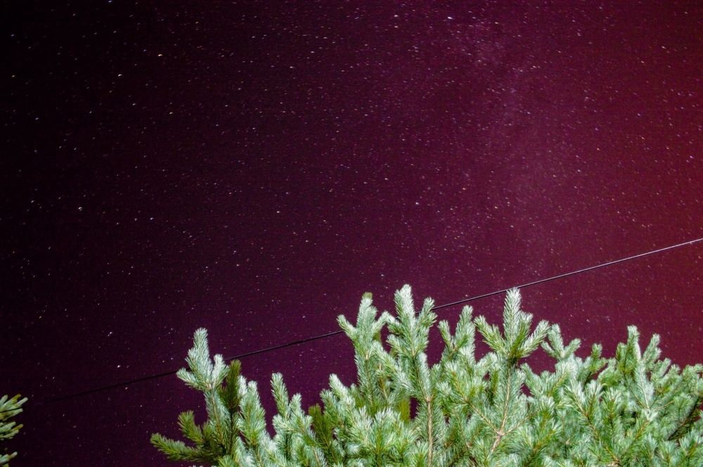 Звёзды наши соседи