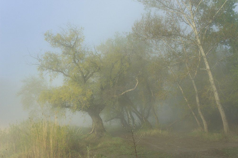 Photograph by Александр Канцур