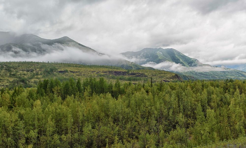 Туман на горах