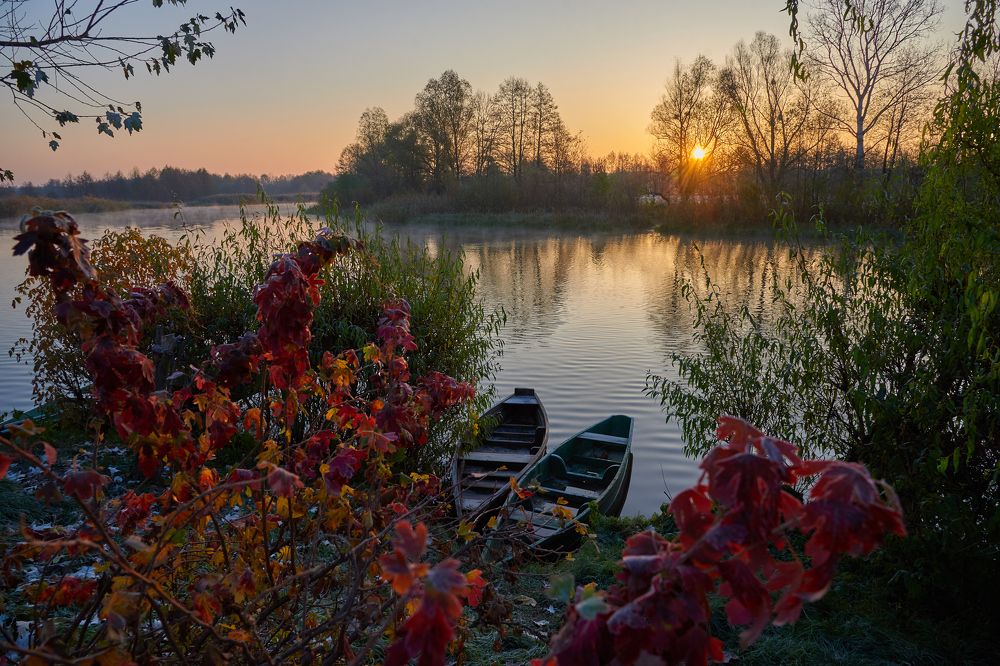 Осеннее утро