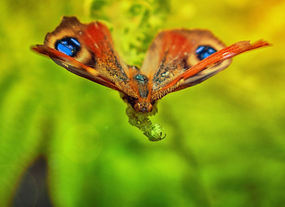 Перед взлетом