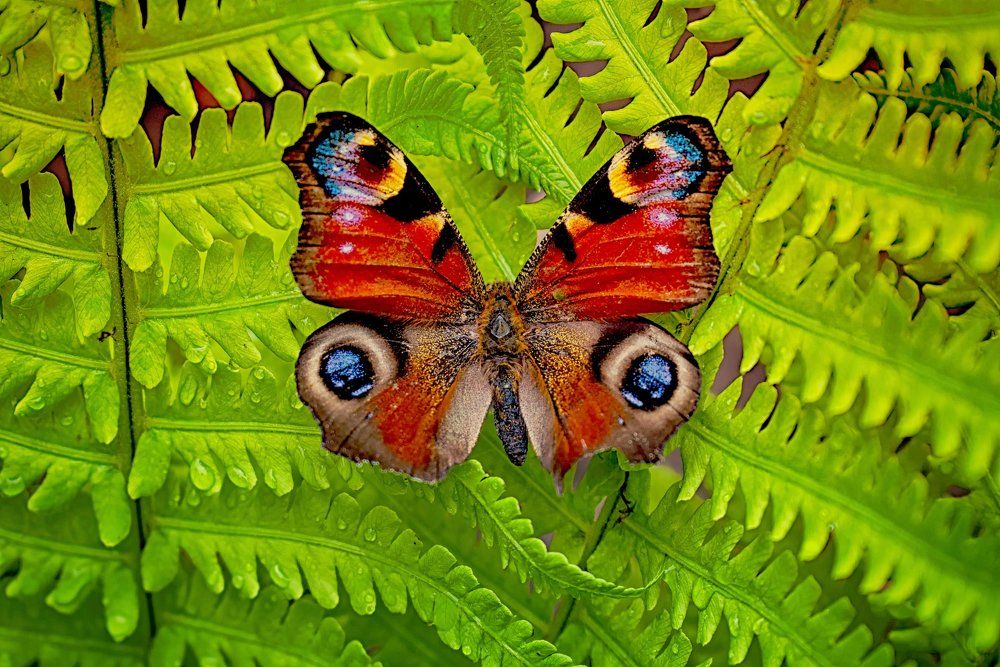 Маскировка