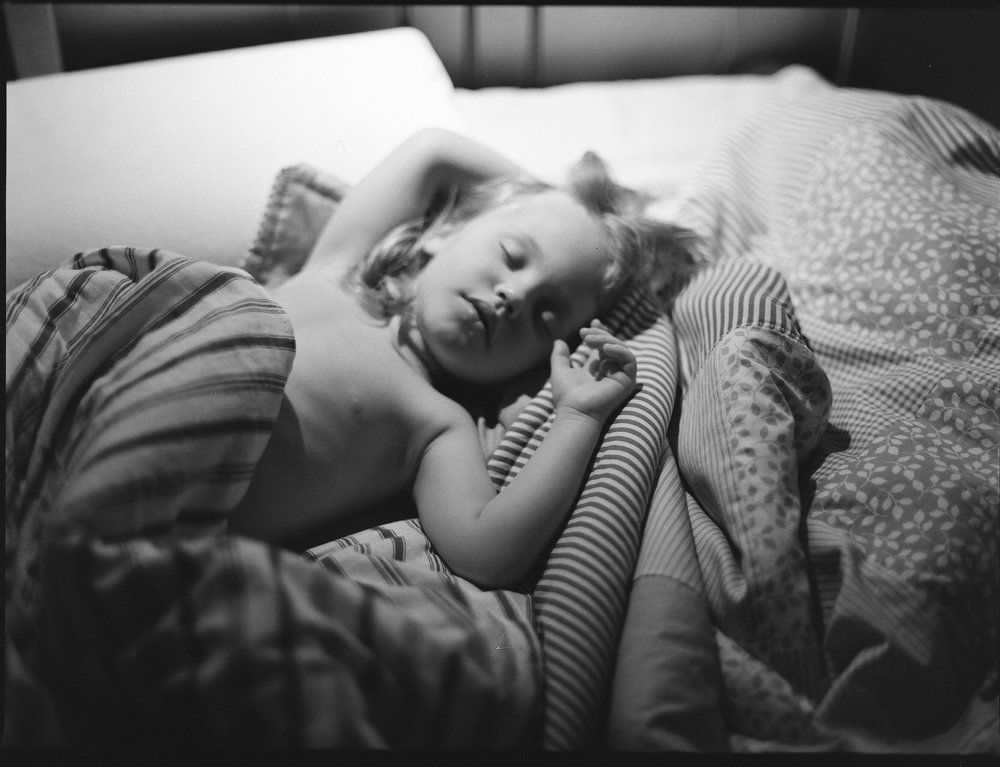 Photo #2473637