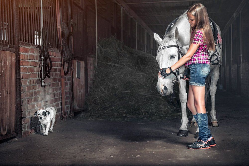 Конная прогулка