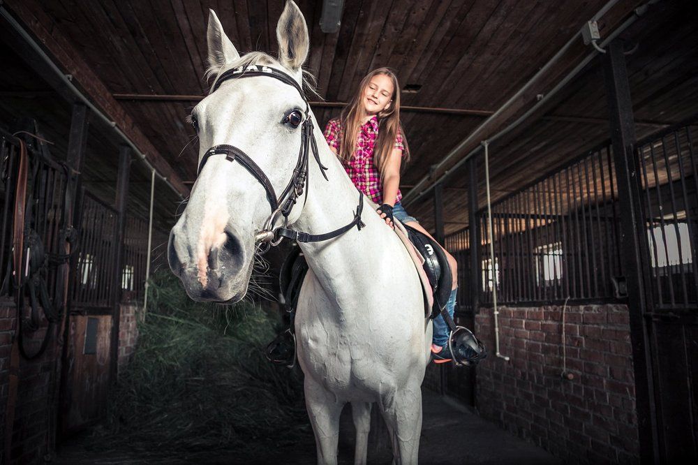 Конная прогулка