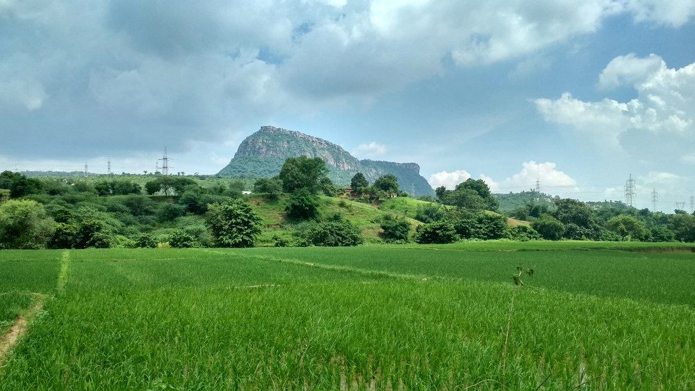Landscape