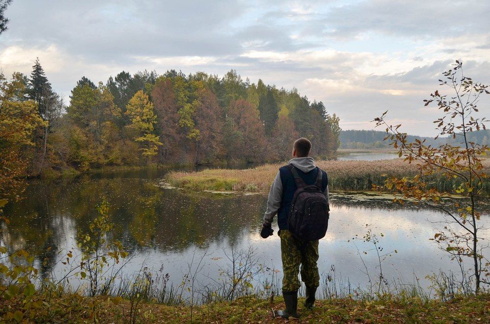 осенний взгляд