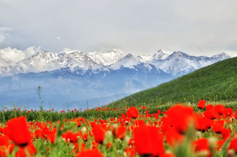 Природа алматы